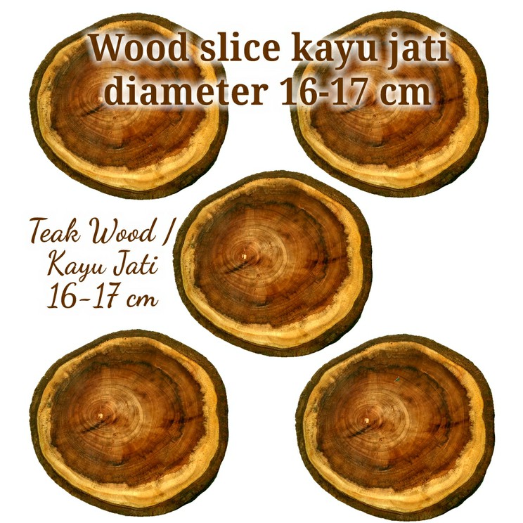 Wood slice kayu jati teak wood diameter 16-17 cm