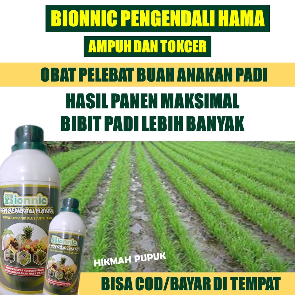 Jual (PUPUK ANAKAN PADI) BIONNIC 500 ML Obat Pelebat Buah Padi Paling