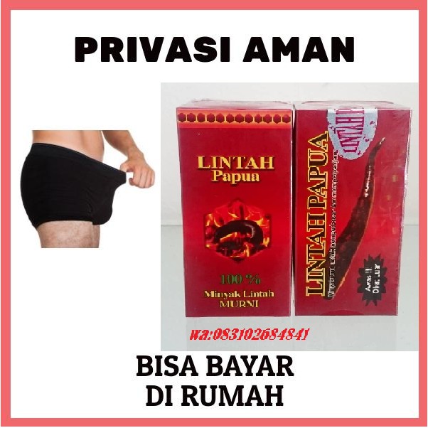 SALE HARI INI PRIVASI AMAN!! MINYAK LINTAH-MERAH PAPUA OBAT HERBAL PEMBESAR ALAT-VITAL PRIA ORI100%