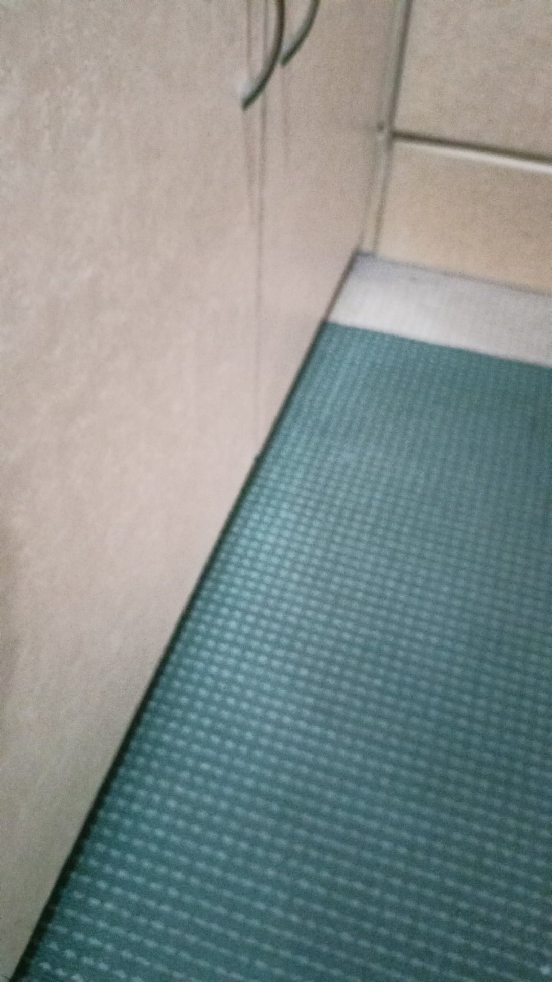 Lem Tikus Jebakan Trap Papan Buku Impor Perangkap Cap Gajah Glue Board Mouse Rat Jumbo Besar Import