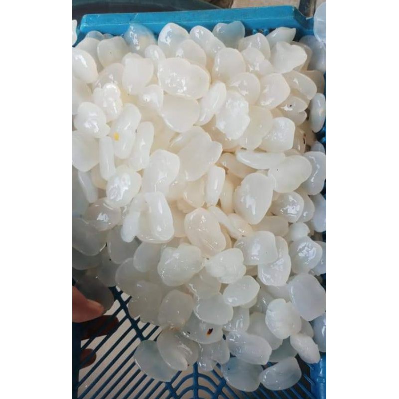 

Kolang Kaling Mentah Segar (1kg)