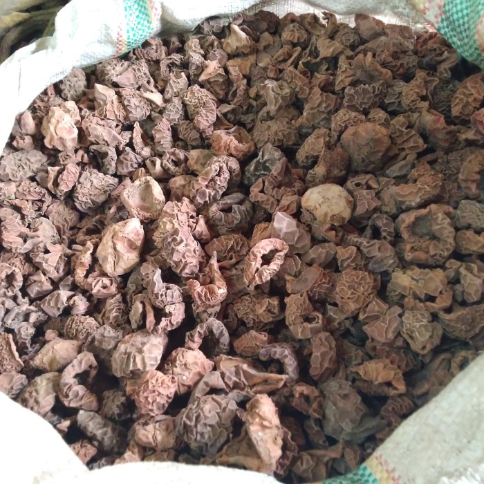 

Buah Kering - Kulit Daging Pala Kering 1Kg / Kulit Daging Buah Pala Kering