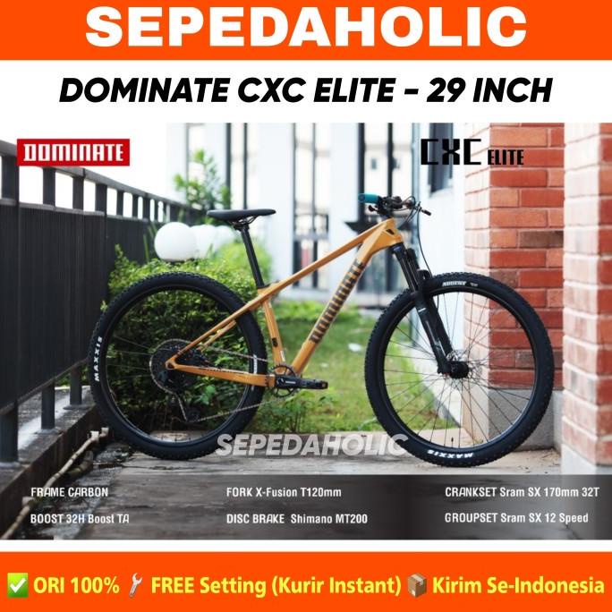 SEPEDA GUNUNG MTB DOMINATE CXC ELITE 29 INCH CARBON 12 SPEED HIDROLIK FDGDF34545