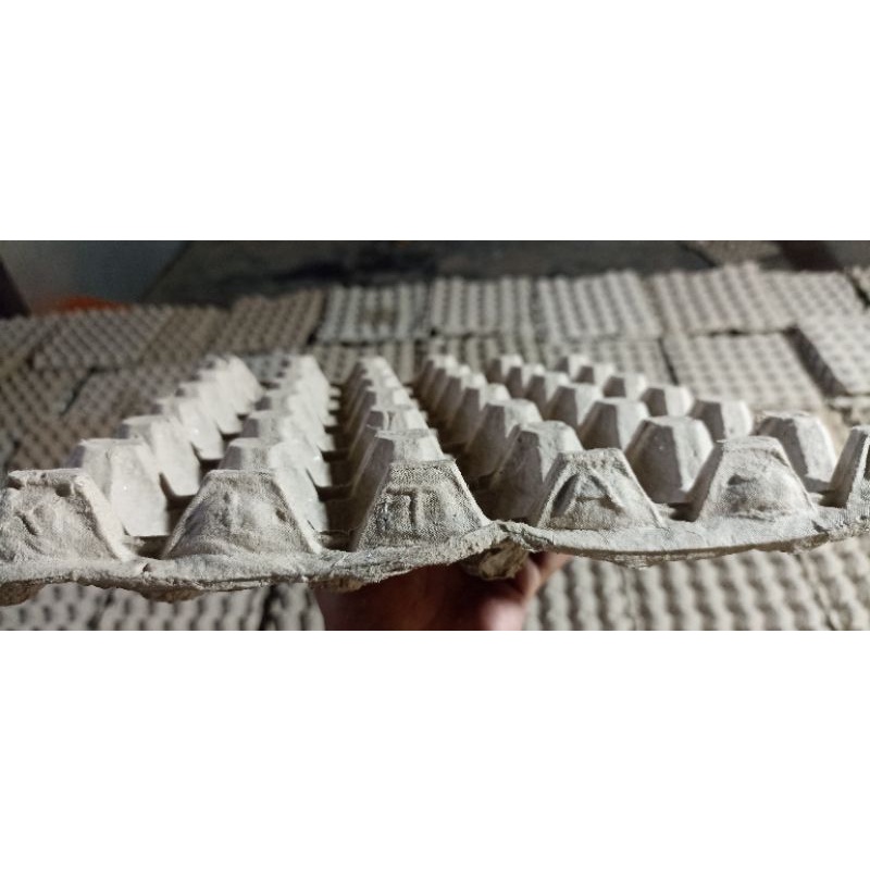 Egg Tray Karton Tempat Telur Baru