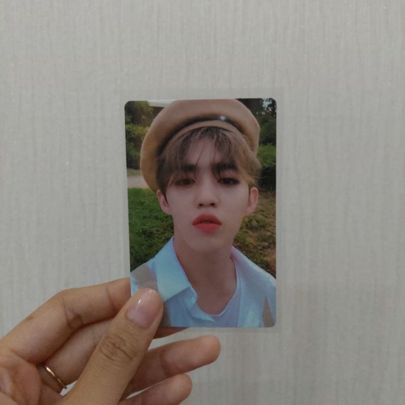 seventeen pc an ode beret scoups seungcheol