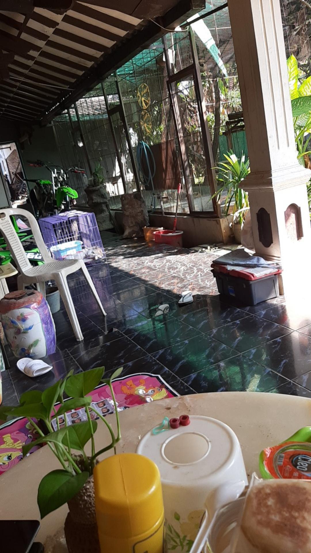 Apron Mama Koki Masak Celemek Masak Remaja Karakter Kartun Lucu