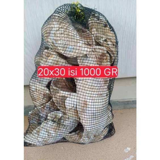 oyster shell kulit kerang penurun ph media filter kolam termurah filter kolam koi termurah