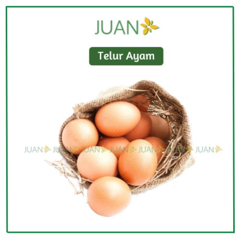 Telur Ayam Broiler 500gr - Juan Freshmart