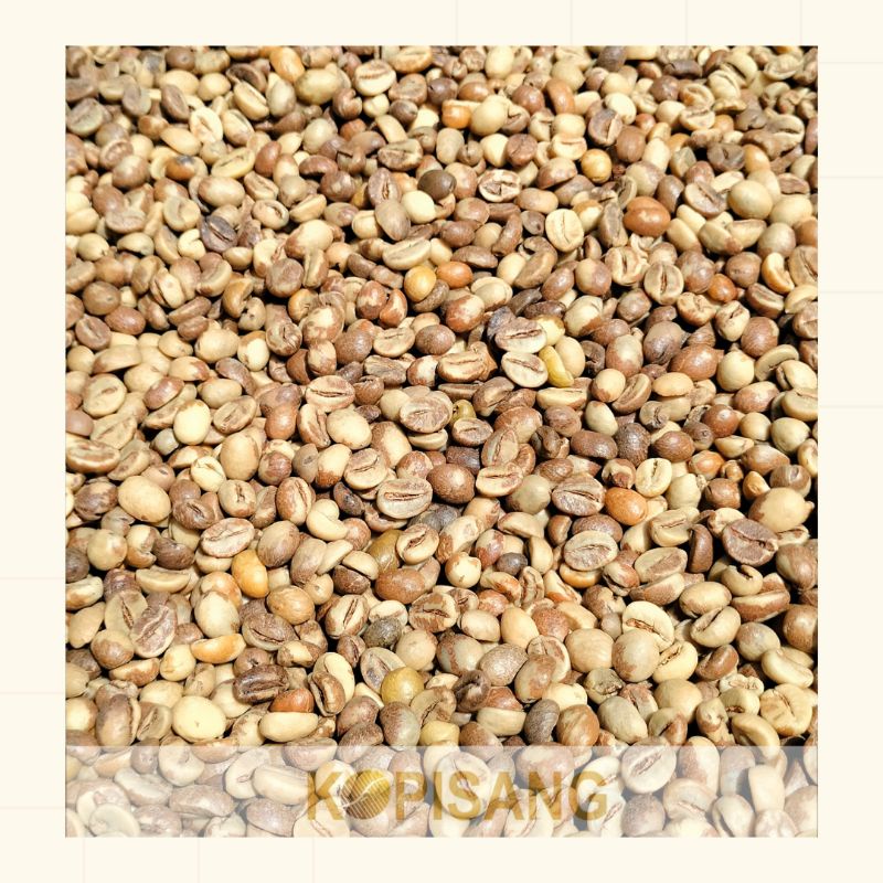 

KOPI WINE ROBUSTA LAMPUNG PREMIUM QUALITY