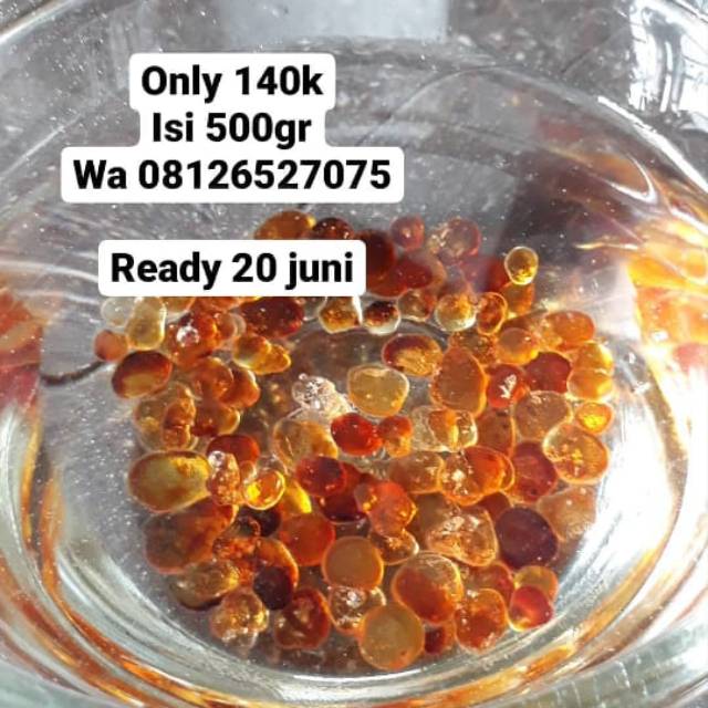 

Peach gum 500gr murah