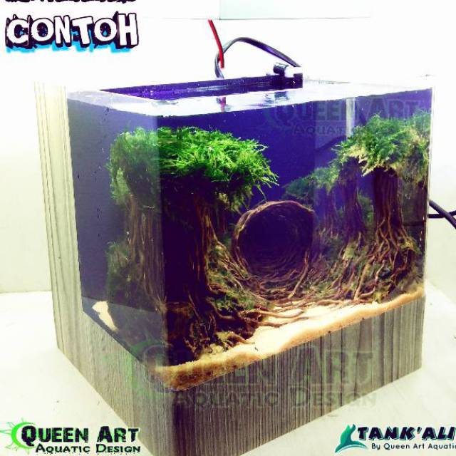 Paket Komplit Tankalit Aquarium Bending Plus Setting Moss