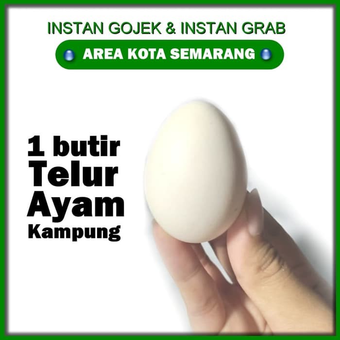 

[FRESH MARKET] TELUR AYAM KAMPUNG 1 butir telur ayam kampung