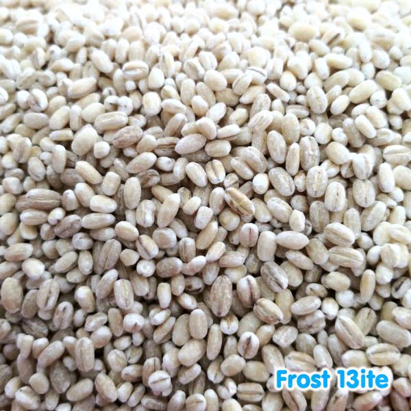 

Pearl Barley / Yi Mi / Ikmi / Imie / Barli / Jelai / Biji Jali / Jali-Jali 1kg