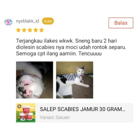 SALEP SCABIES JAMUR OBAT SCABIES KUCING KELINCI AMPUH