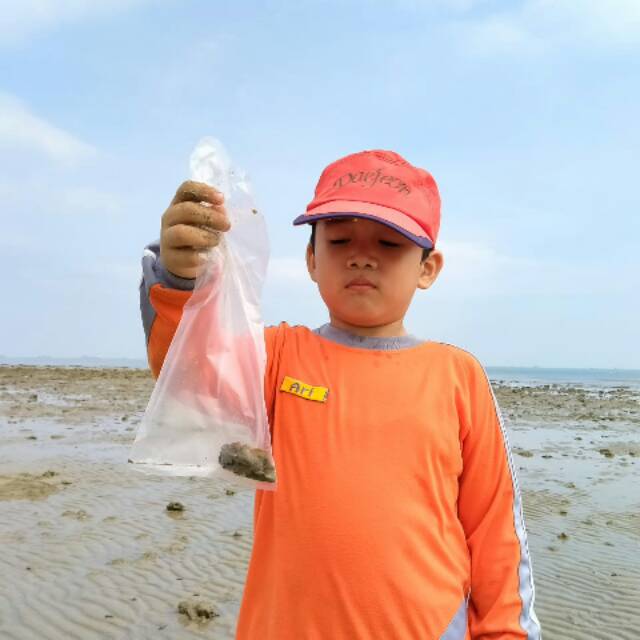 tinanatik