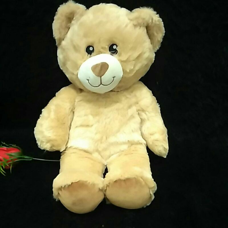 boneka bear.build-A-Bear.impor