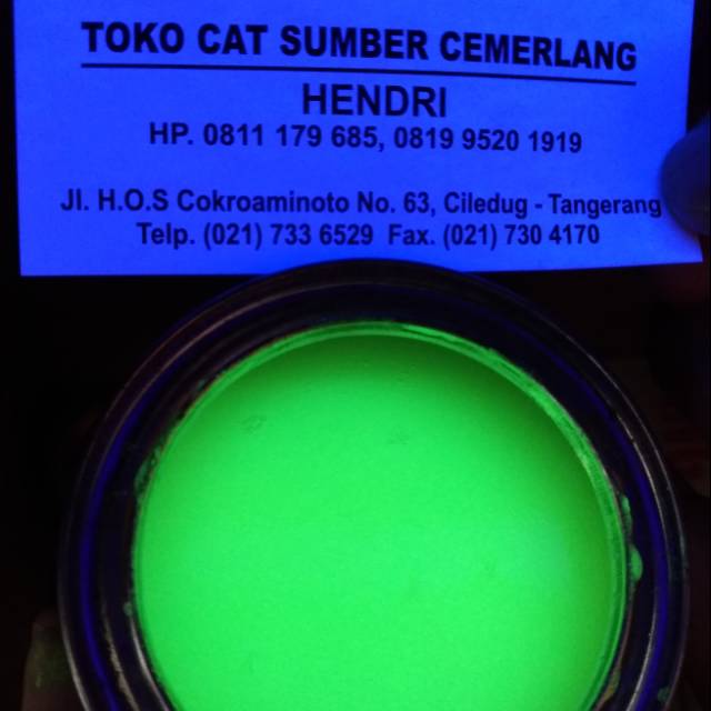 CAT FOSPOR -GLOW IN THE DARK