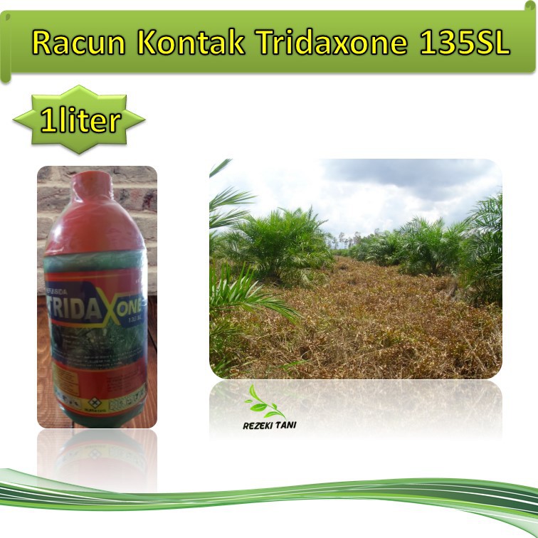 Jual Herbisida Racun Rumput Kontak Tridaxone Sl Kemasan Liter