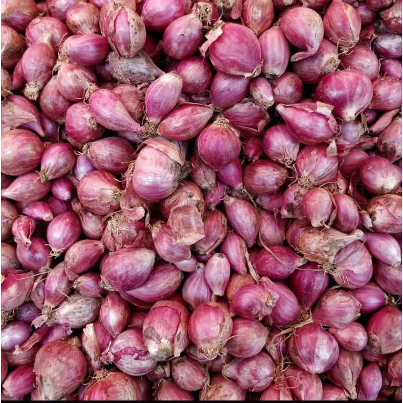 

bawang merah murah promo 1 kg