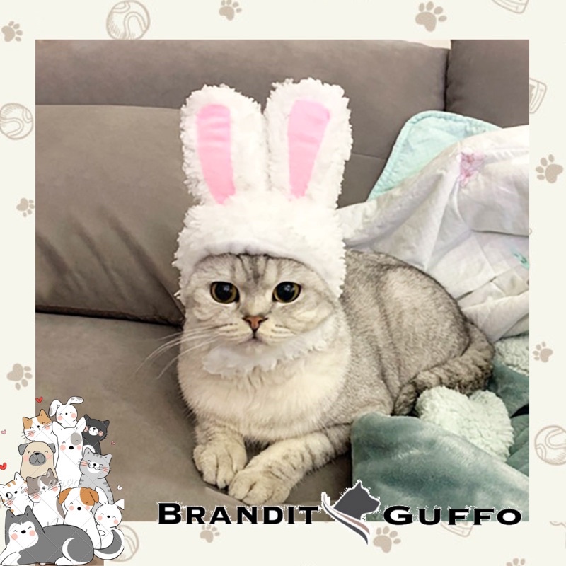 Topi kelinci bunny hat kucing attribute cat dog toys costume anjing lucu pet hewan