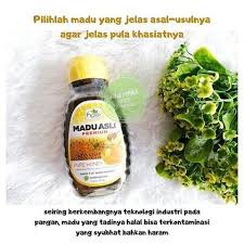 

Madu Ketahanan Tubuh dan Imunitas