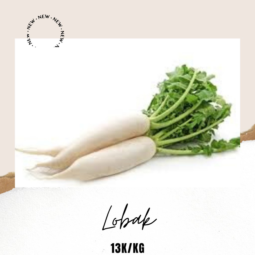 

Lobak 1kg