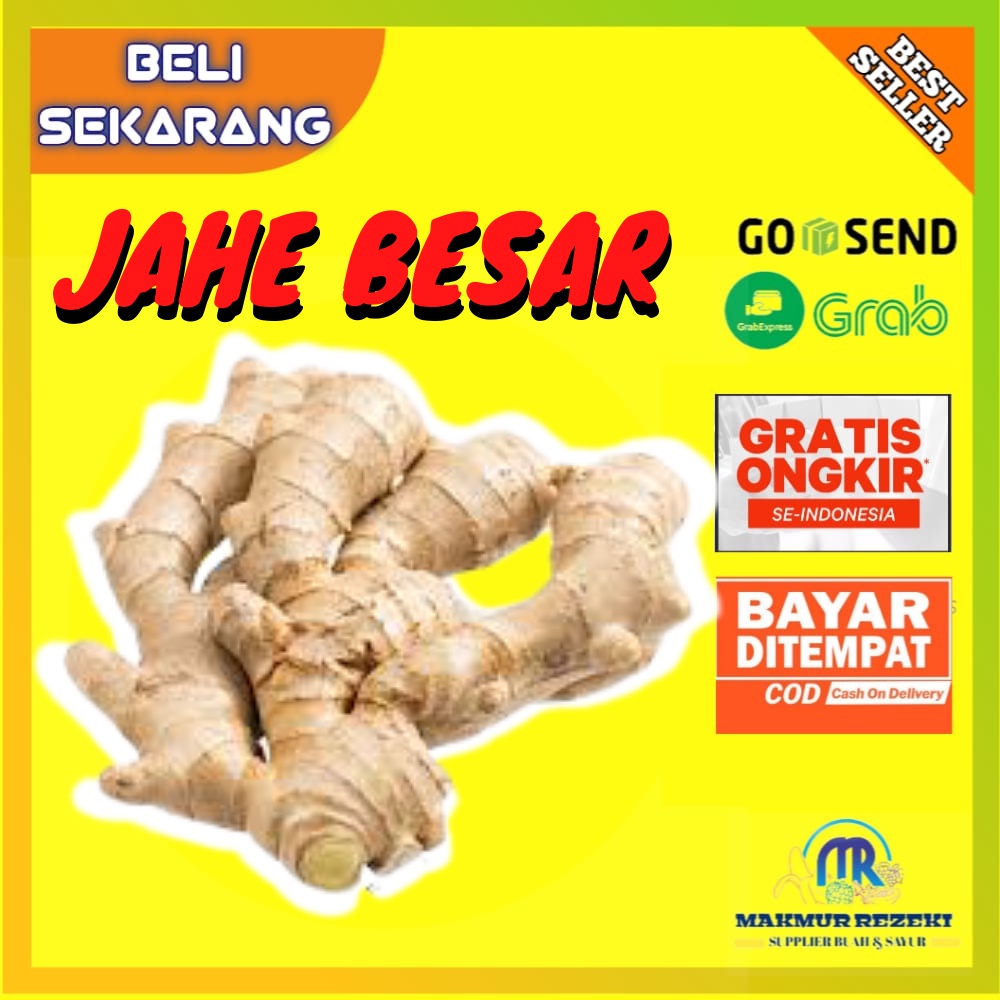 

JAHE GAJAH SUPER SEGAR JAHE PUTIH SEGAR JAHE PUTIH JAHE GAJAH SEGAR JAHE EMPRIT SEGAR JAHE 250 GR