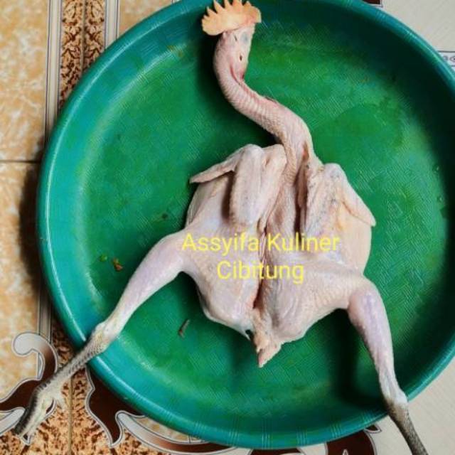 

Daging Ayam Kampung/ Pejantan Super Premium