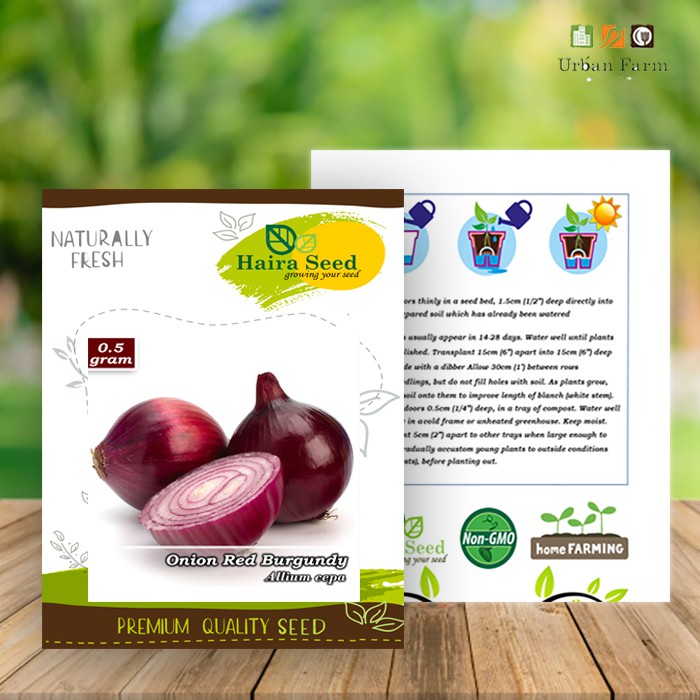 Benih-Bibit Bawang Merah Red Burgundy (Haira Seed)