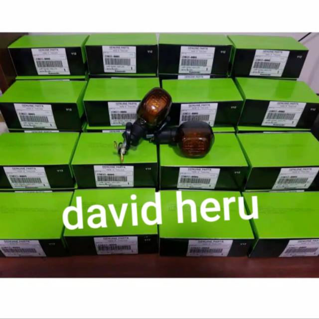 Sein ninja rr original