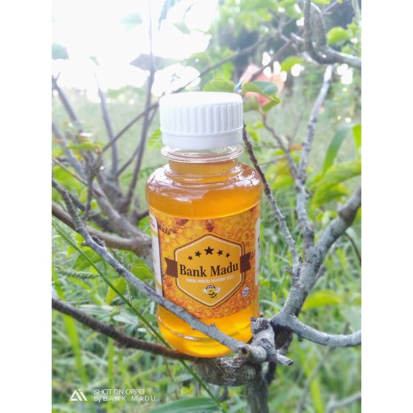 

Madu Hutan Asli 125ML