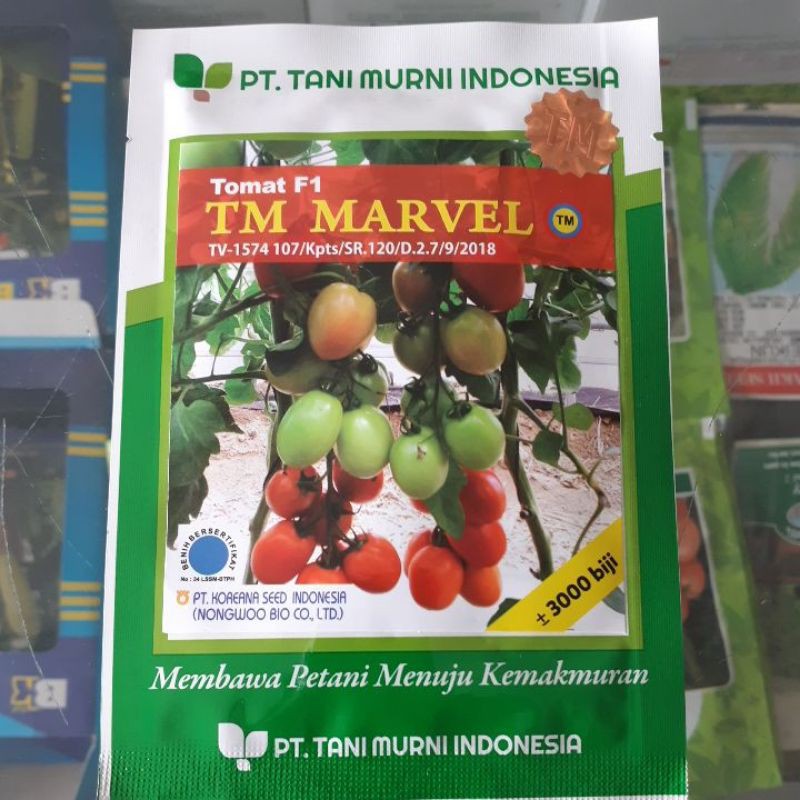 BENIH TOMAT TM MARVEL kemasan 3000 butir