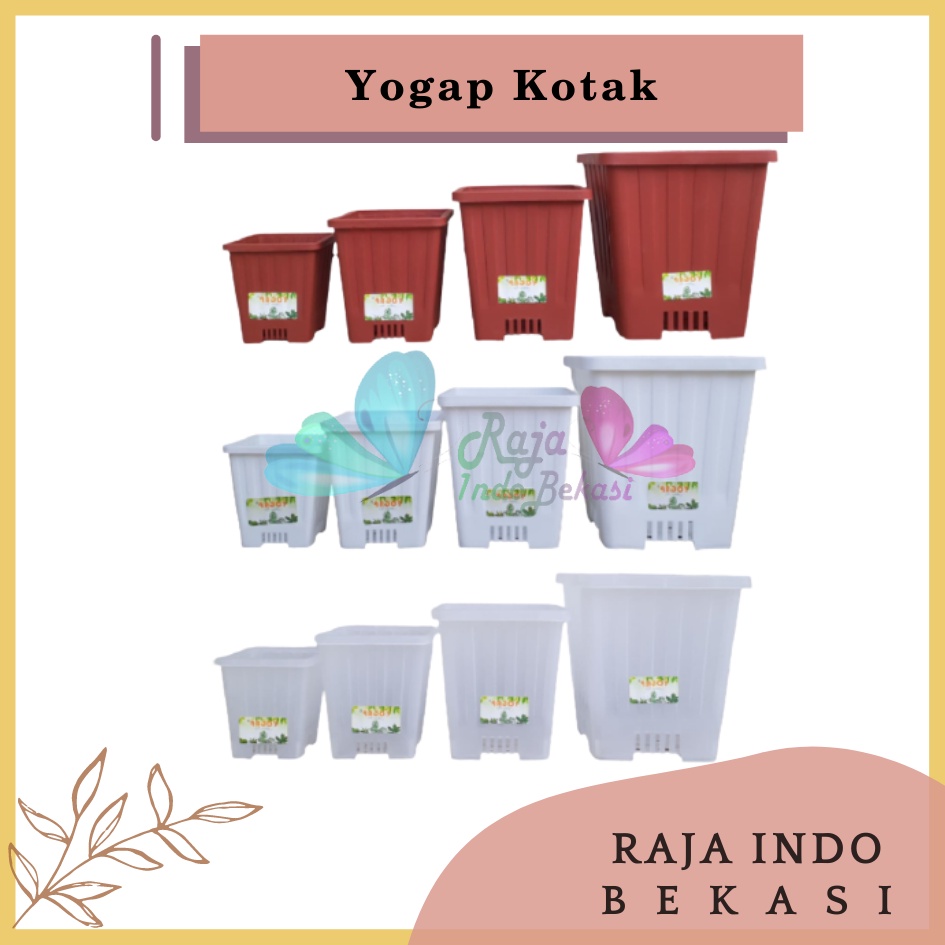 Pot Yogap Kotak 8 10 12 15 Putih Transparan Bening Merah Bata Coklat Terraccota Terakota Orange Pot Segi Empat Hias Pot Yogap 10 13 15 17 18 19 25 30 Pot Yogap Lusinan Pot Kotak Panjang Kecil 8 Cm Tinggi