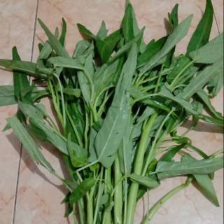 

kangkung | sayur bandung