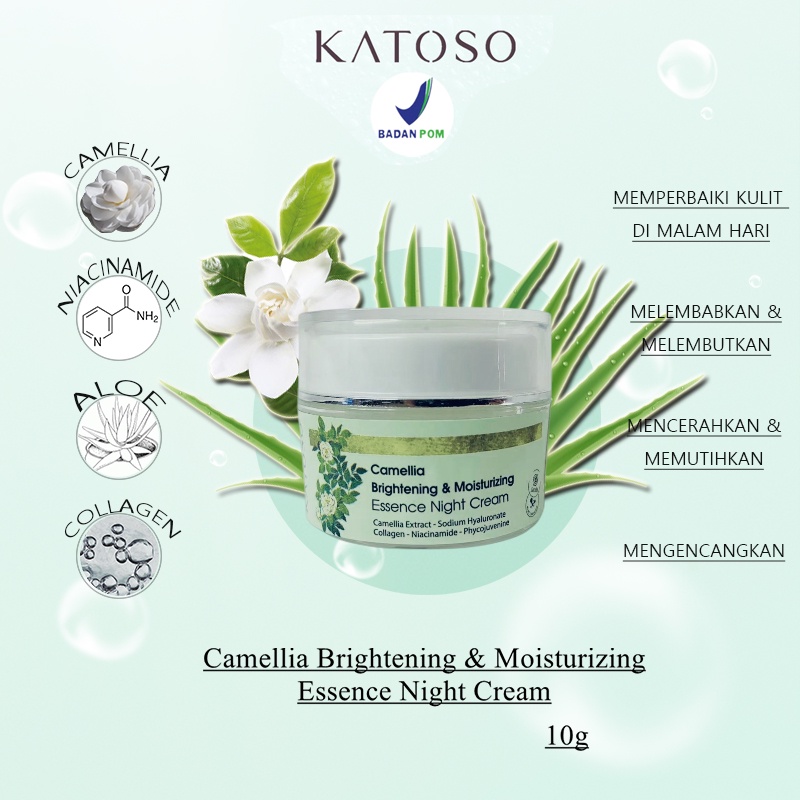 (BPOM) Katoso Camellia Brightening &amp; Moisturizing Essence Night Cream 10g