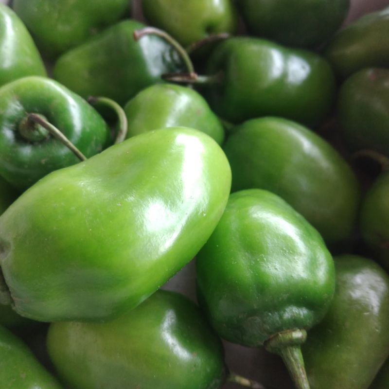 

Cabe Gendot Bandung fresh