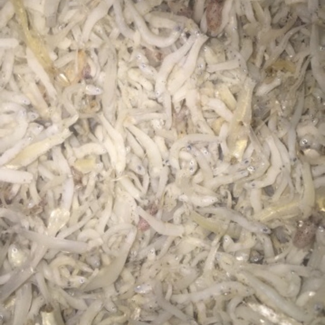 

Teri Medan / Teri nasi asli laut tanpa pengawet termurah 250 gram