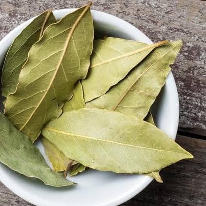 

PROMO Bay leaf ecer 100 gram (salam kari atau daun kari) MURAH
