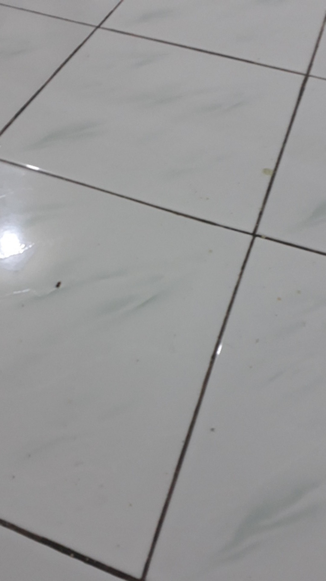 [model Baru] Gamis Maxi Keila/ S-m,l,xl,xxl, Xxxl / Brukat Premium/ Seragam/ Kondangan