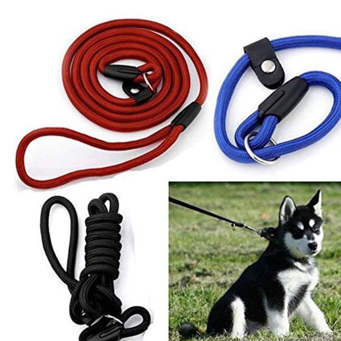 BESAR Slip Lead Cesar Milan Tali Tuntun Anjing Nylon Dog Leash