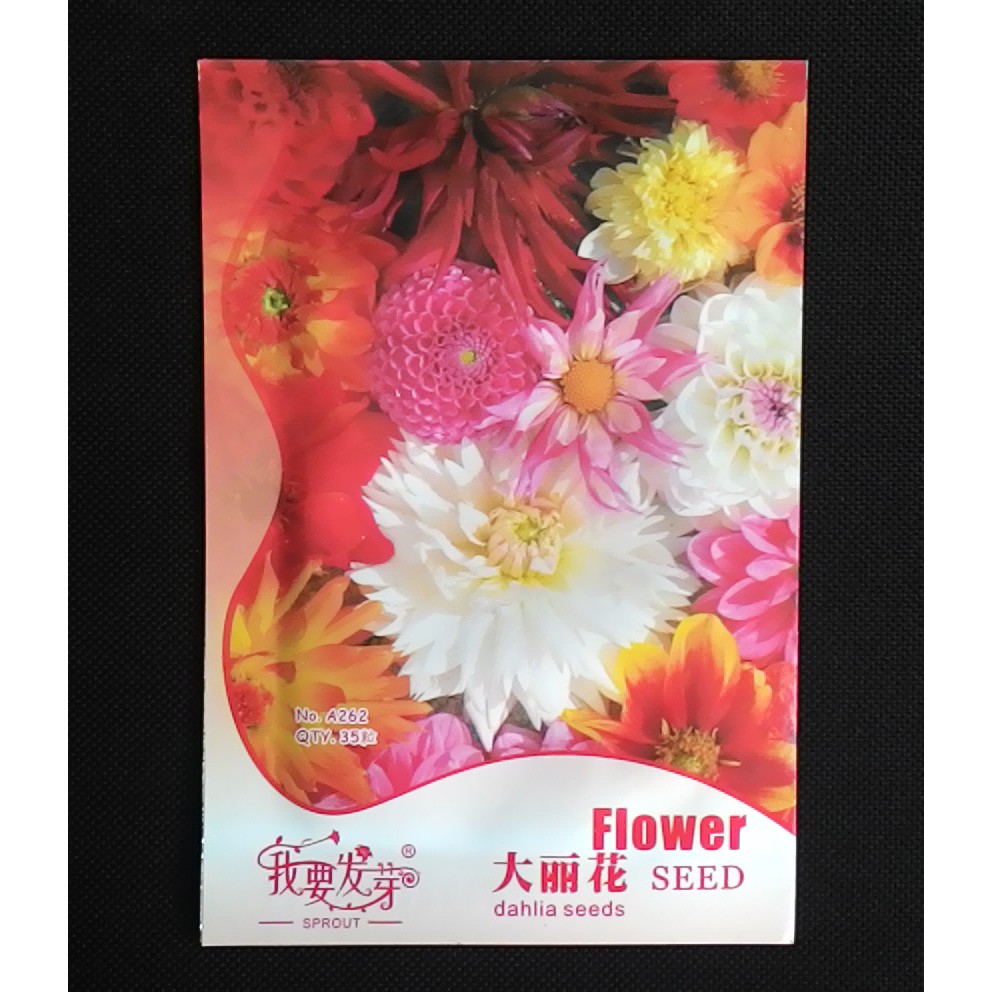 

Terlaris Mix Dahlia Grosir