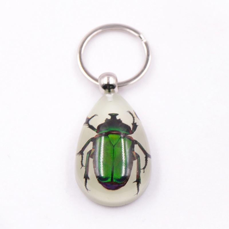 Siy Luminous Amber Insect Keychain Black Scorpion Resin Untuk Gantungan Kunci Glow in the Dark Liontin Dengan Sample Serangga Di Dalam