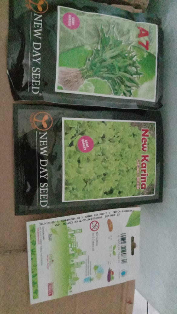 Benih New Day Seed Selada Karina