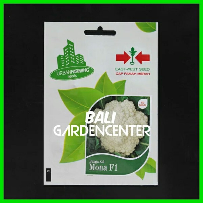 Benih (50) Bunga Kol Mona F1