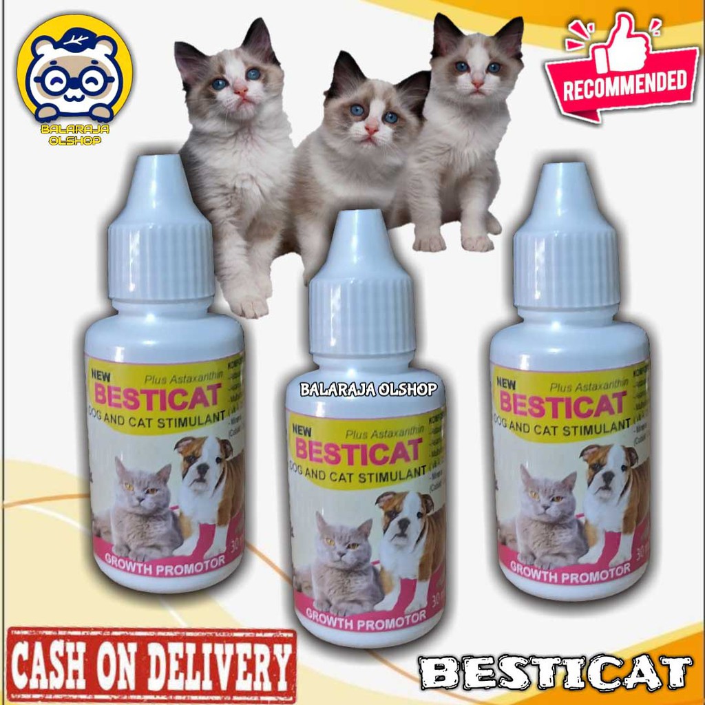 VITAMIN KUCING ANJING PENAMBAH NAFSU MAKAN DAN PENGGEMUK BADAN KITTEN &amp; PUPPY BESTICAT