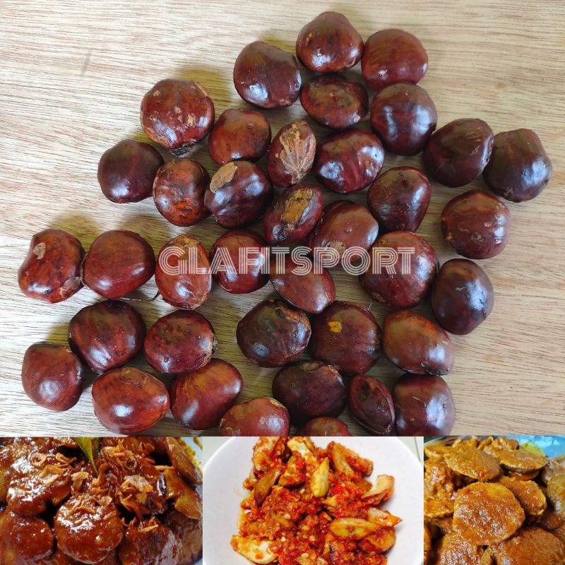 

JENGKOL TUA PRESS 250/500 GRAM TERLARIS