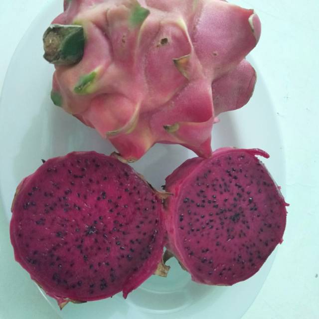 

Buah naga merah