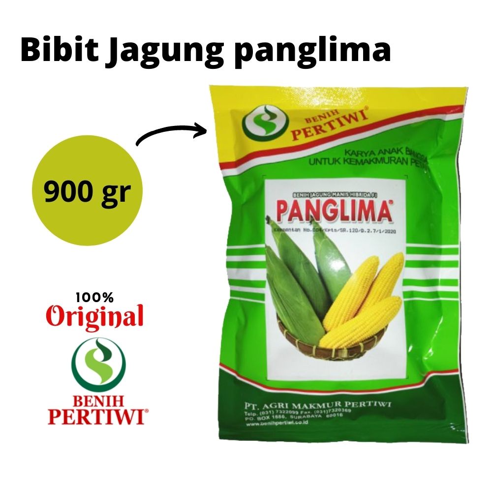 Bibit Benih Jagung Manis Hibrida Panglima Pertiwi Pertanian Unggul