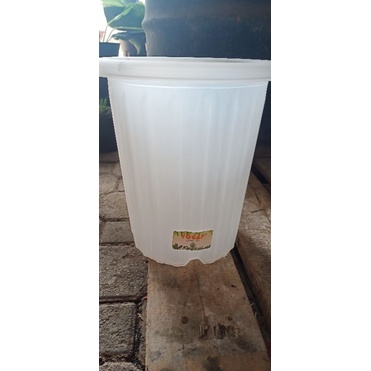 Pot Yogap 19, putih, bening, orange