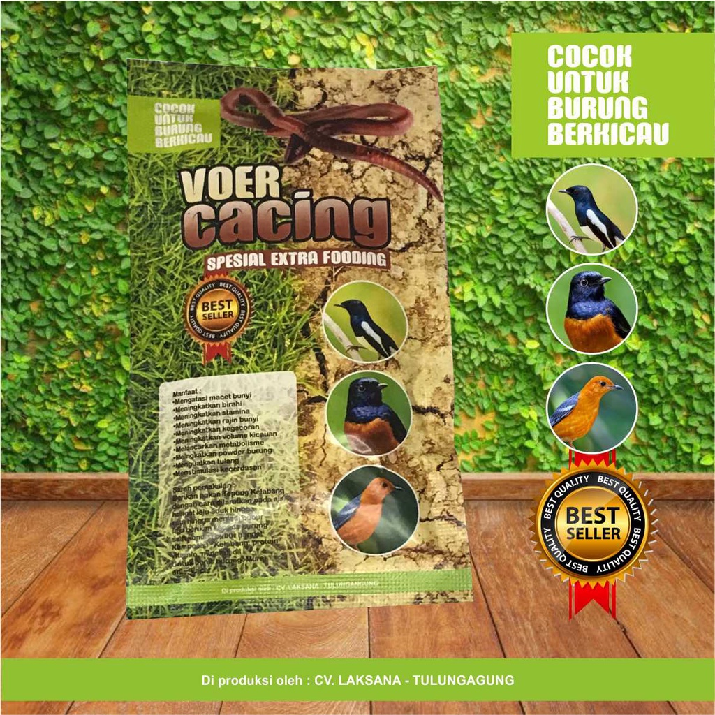 VOER CACING SPESIAL UNTUK ANIS MERAH MURAI KACER POCI TRUCUK